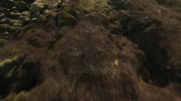 苔藓覆盖的景观路和海 — 图库视频影像