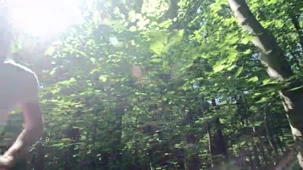 Mužské Jogger stojící v lese — Stock video