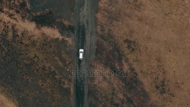 Auto fahren inmitten isländischer Landschaft — Stockvideo