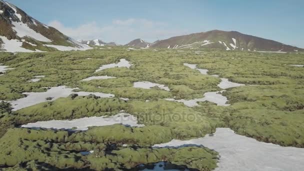 Muschio coperto paesaggio con neve — Video Stock