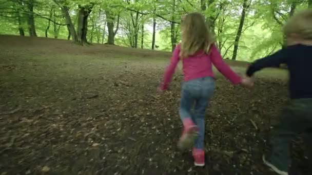 Bruder und Schwester laufen im Wald — Stockvideo