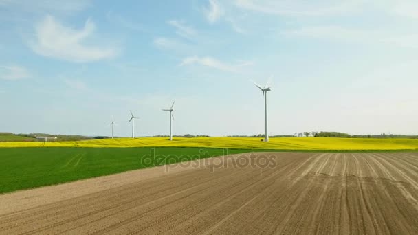 Moinhos de vento brancos em pé em um campo — Vídeo de Stock