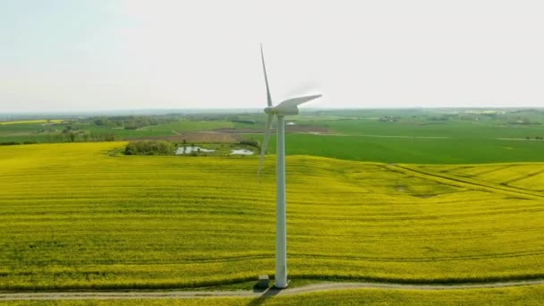 Paisagem dos moinhos de vento — Vídeo de Stock