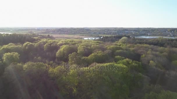 Aerial View Over The Rural Field — Stock Video