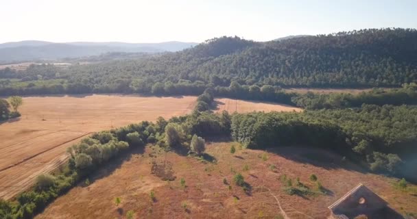 Drone over church — Stock Video