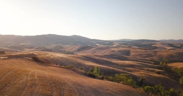意大利阳光普照的田野 — 图库视频影像