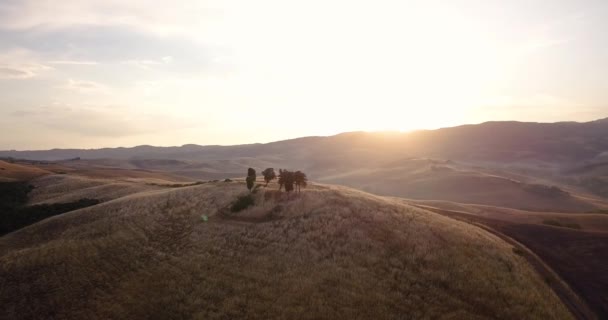 太陽に照らされた圧延風景 — ストック動画