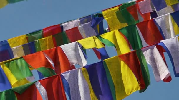Colorful Nepalese prayer flags — Stock Video