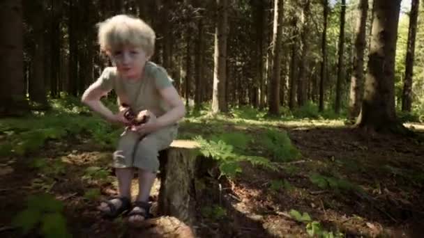 Niño corriendo en el bosque — Vídeos de Stock
