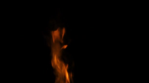 Bruciando sul nero — Video Stock