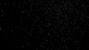 Siyah karşı kar yağışı