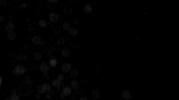夜雪 — 图库视频影像