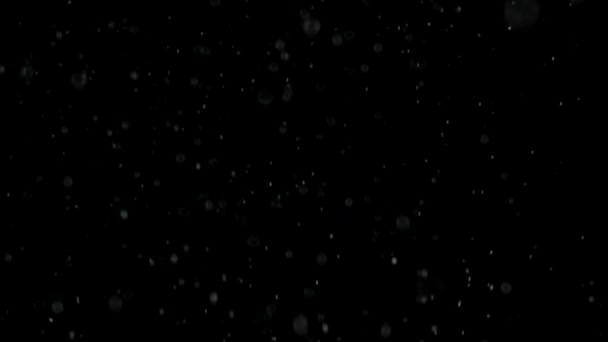Nieve en movimiento — Vídeo de stock