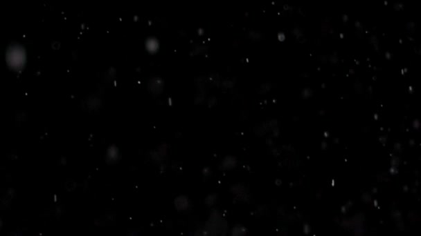 Schwarzer Hintergrund Schnee — Stockvideo