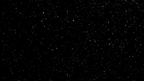 Noir avec neige tombante 