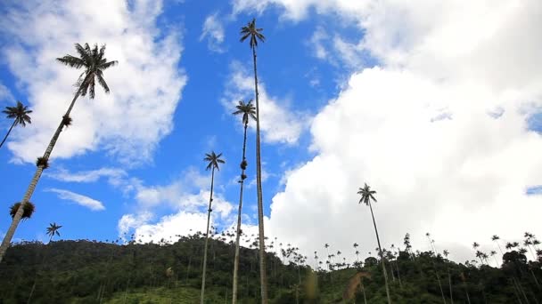 Cieli colombiani — Video Stock