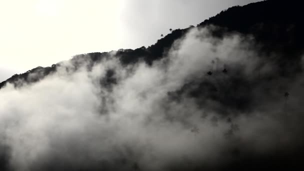 Brume sur les montagnes — Video