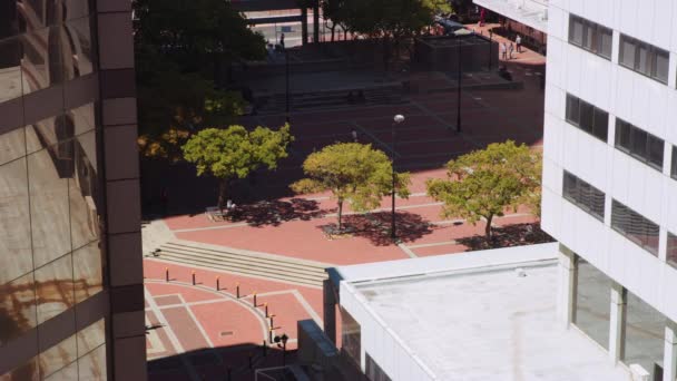 Tournage à grand angle d'un parc urbain dans les gratte-ciel du milieu — Video