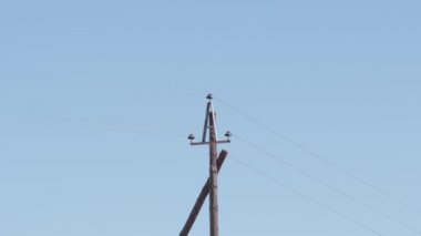Elektrik Kutbu 'ndan başka bir kutba kamera geçişi
