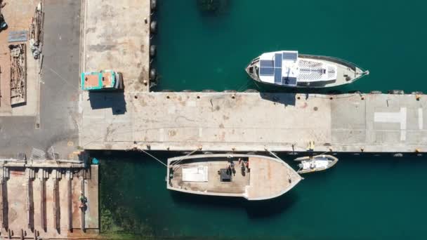 Schwenk-Aufnahme eines Docks mit Booten auf jeder Seite des Weges mit fliegenden Vögeln — Stockvideo