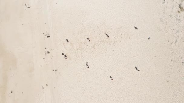 Вид с воздуха на мужчин, играющих в футбол на белом песке — стоковое видео