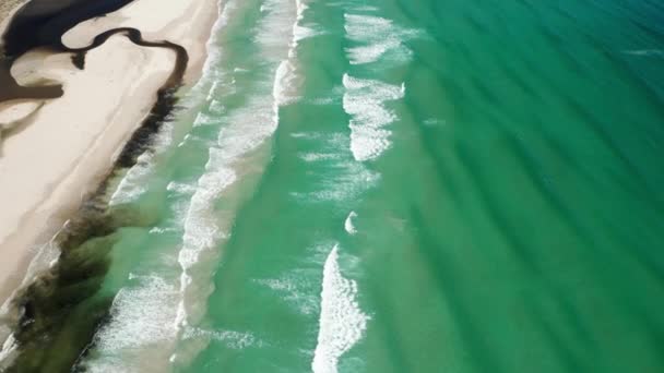 Широкая полоса морского полюса достигает берега и уходит в океан — стоковое видео