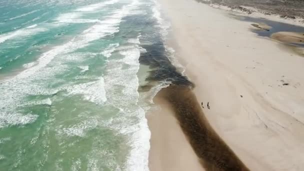 Luchtfoto van een zwart gekleurd strand van de olieramp — Stockvideo