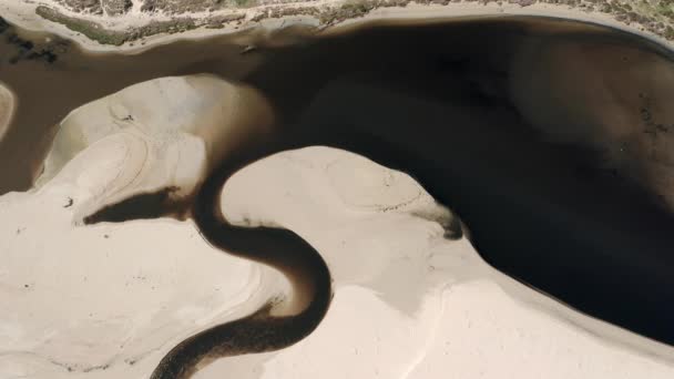 Top Shot de pajaritos volando sobre un gran derrame de petróleo en la arena — Vídeo de stock