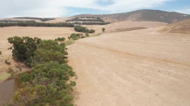 Вид с воздуха на оазис, окруженный деревьями — стоковое видео