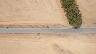 Çölün ortasında, ağaçların manzarası olan bir yol boyunca uçan drone.