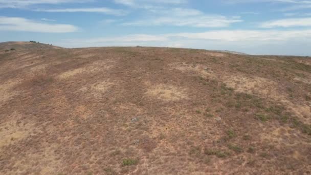 Aufnahme der Hanglandschaft Südafrikas und der Vegetation — Stockvideo