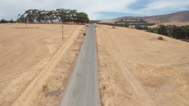 Aerial Tracking Shot of a Car Travelling Wzdłuż drogi między drzewami a piaskiem — Wideo stockowe