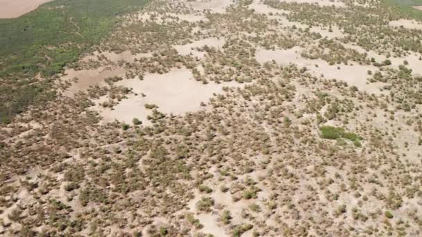 Vista aérea de uma planície com árvores e manchas de solo marrom, África do Sul — Vídeo de Stock
