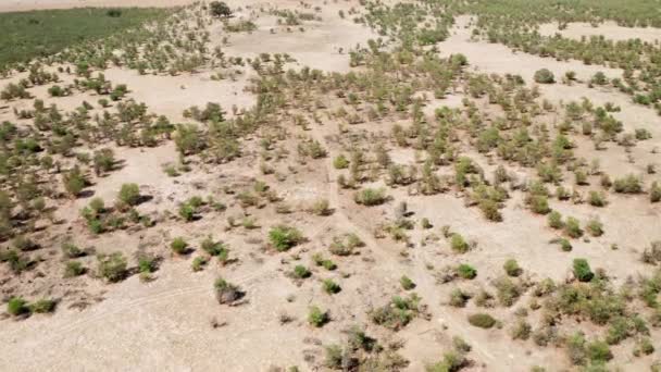 Vliegen Boven Bushes en pleisters van Barren Soil in een vlakte, Zuid-Afrika — Stockvideo