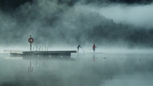Amplio tiro de dos paddle boarders y tablón en medio del lago — Vídeos de Stock