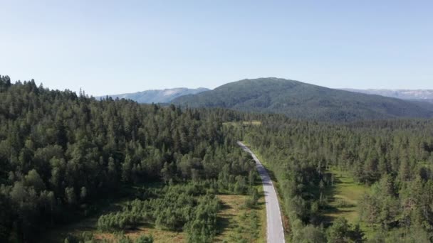 Vista aérea de una carretera de asfalto cruzando el vasto bosque en una mañana soleada — Vídeo de stock