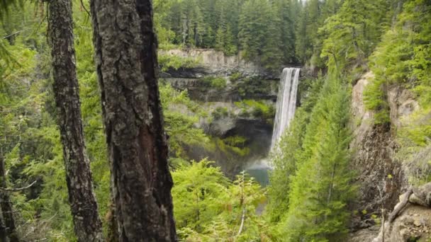 Amplia vista de las cascadas de Brandywine en medio del bosque — Vídeo de stock