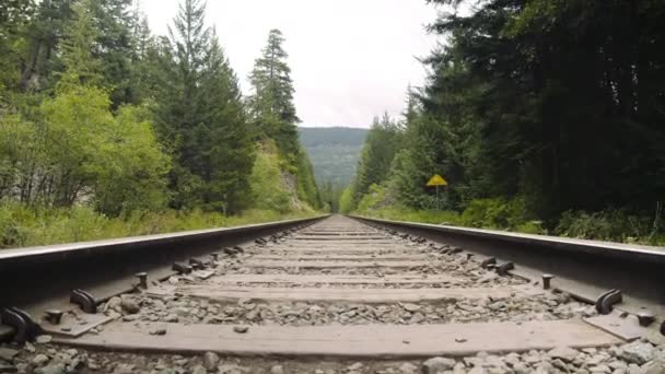 Gros plan sur un chemin de fer au milieu des bois — Video