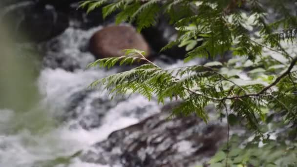 바위투성이의 강물 위로 밀려오는 물의 근접 사진 — 비디오