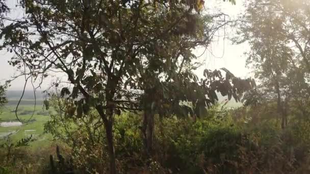 Cambodian greenlands — Stock Video