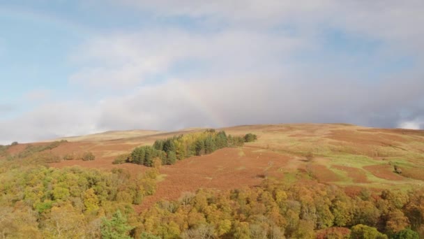 Voando sobre um caminho de árvores em uma colina e um arco-íris fraco no fundo — Vídeo de Stock