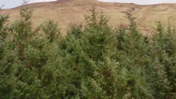 Drone Panning Upward from a Closeup View of Trees to the Steep Mountain Slope — Stock Video