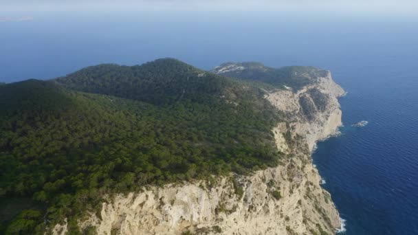 Dağın tepesindeki Orman Manzarası ve Arkaplanda Deniz Okyanusu — Stok video