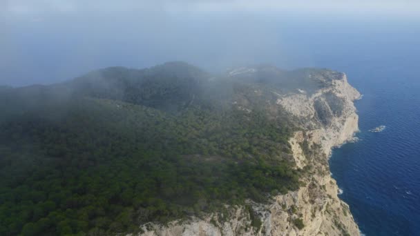 Panoramic Drone Shot of Cliff with Forest Trees Περιτριγυρισμένο από ωκεανό — Αρχείο Βίντεο