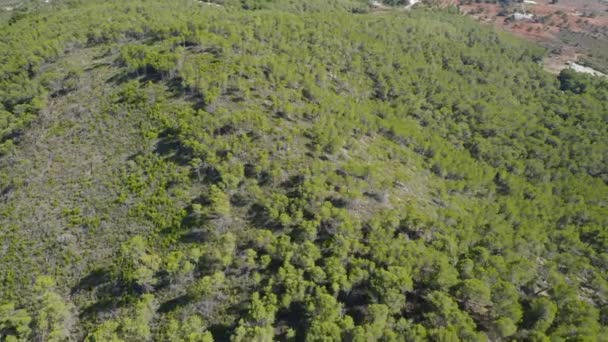Drone atirou inclinado para baixo sobre a floresta de montanha exuberante em Ibiza — Vídeo de Stock