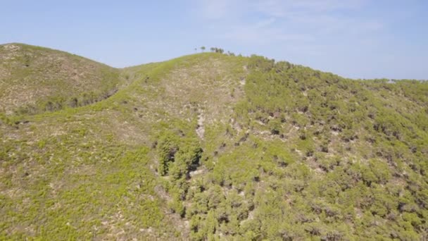 Drone Flyby Shot of a Mountain Forest on a Sunny Day — Stock video