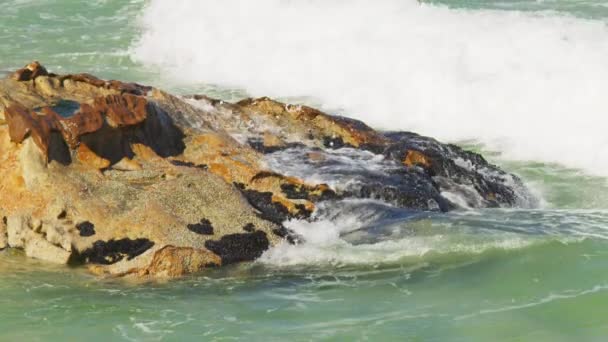 海の真ん中の大きな岩の上で大きな波が衝突して破壊します — ストック動画