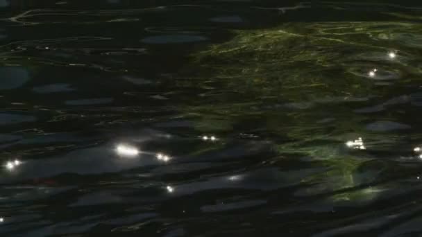 Nahaufnahme eines Steins unter kristallklarem Wasser — Stockvideo