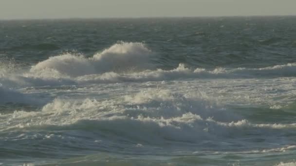 Gros plan sur un oiseau volant à travers un océan orageux avec de grandes vagues — Video
