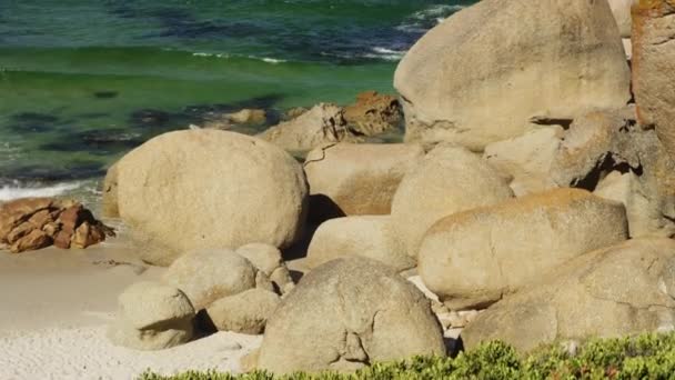 Camera che si inclina da una spiaggia rocciosa per rivelare onde calme lungo la costa — Video Stock
